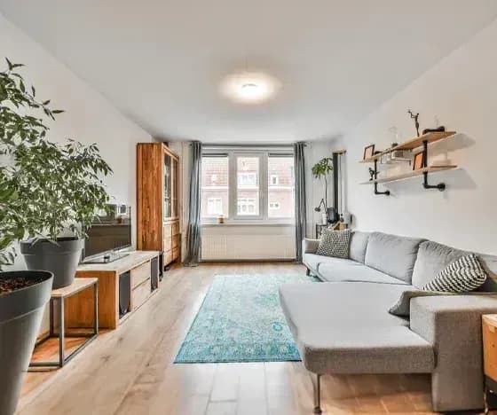 Bright living room with a gray L-shaped sofa, a turquoise rug, wooden furniture, large plants, and a window at the back with gray curtains