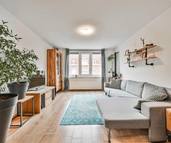 A living room addition with hardwood floors, a blue patterned area rug and a couch.
